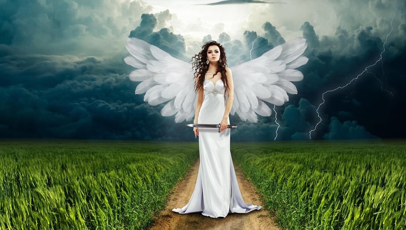 Fairy