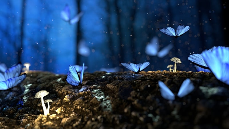 Forest Fantasy